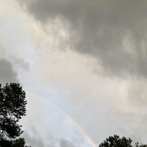 Meet your Posher, Daniela